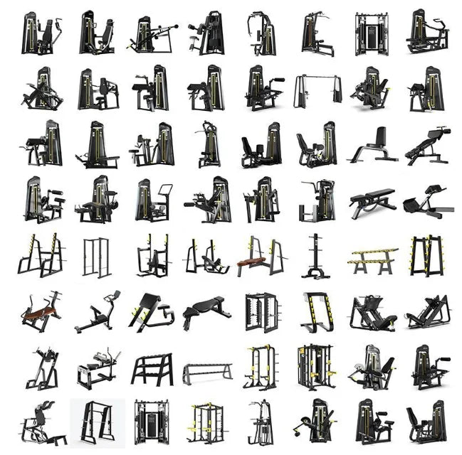 Ensemble complet d'équipement de gymnastique, cadre de Squat, portique, arrière, taille de la Machine, les oiseaux seront équipement électrique